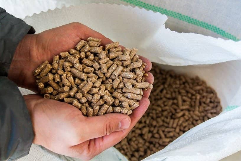 کود مرغی صنعتی با ساختار یکنواخت و کنترل شده